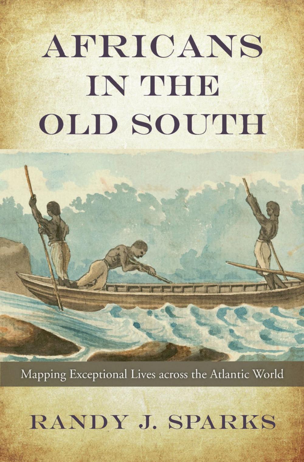 Big bigCover of Africans in the Old South