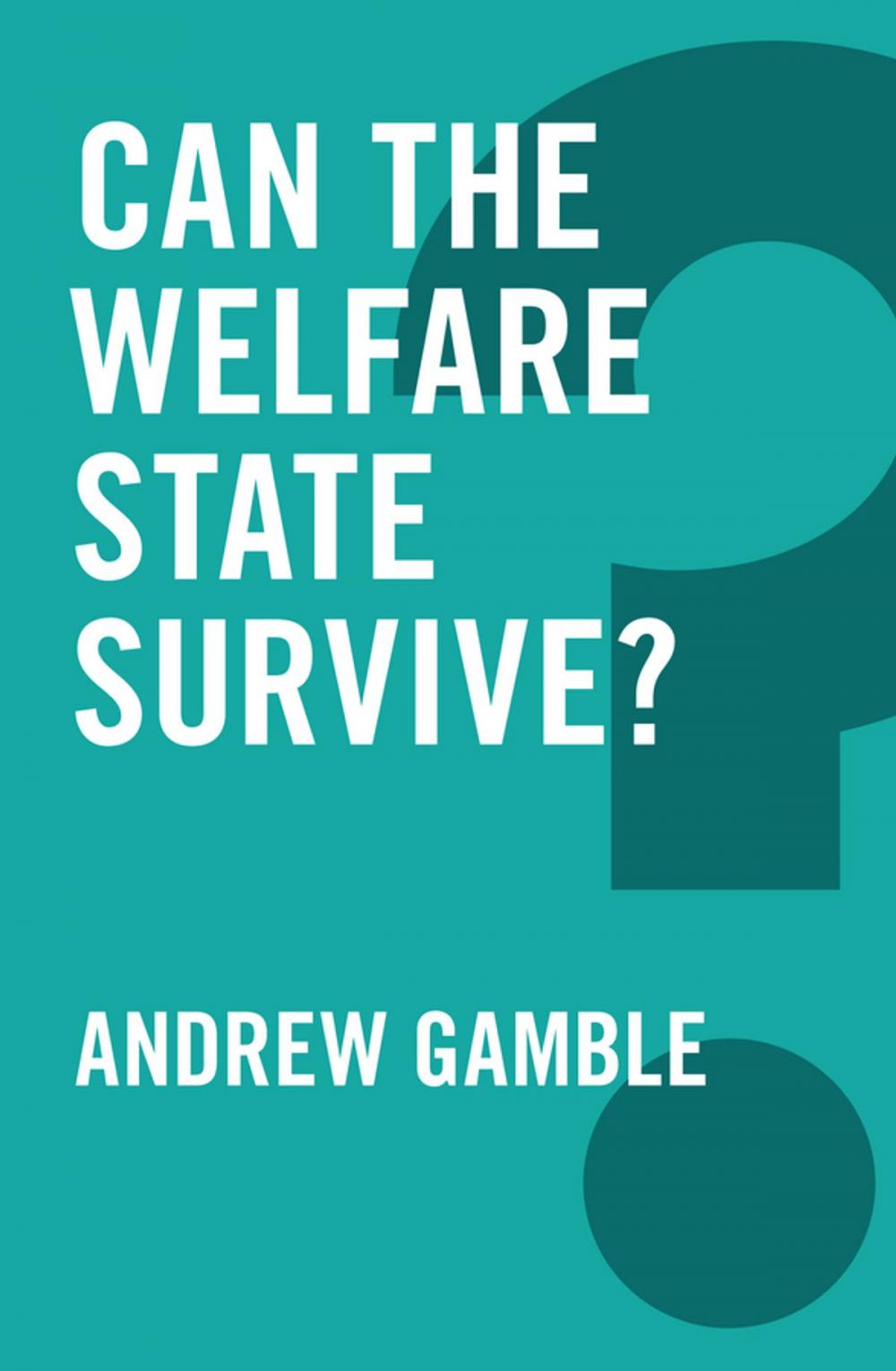 Big bigCover of Can the Welfare State Survive?