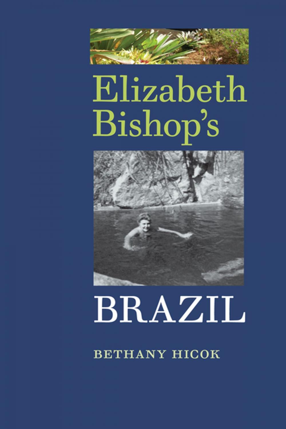 Big bigCover of Elizabeth Bishop's Brazil