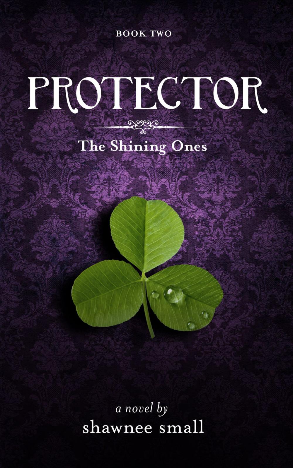 Big bigCover of Protector