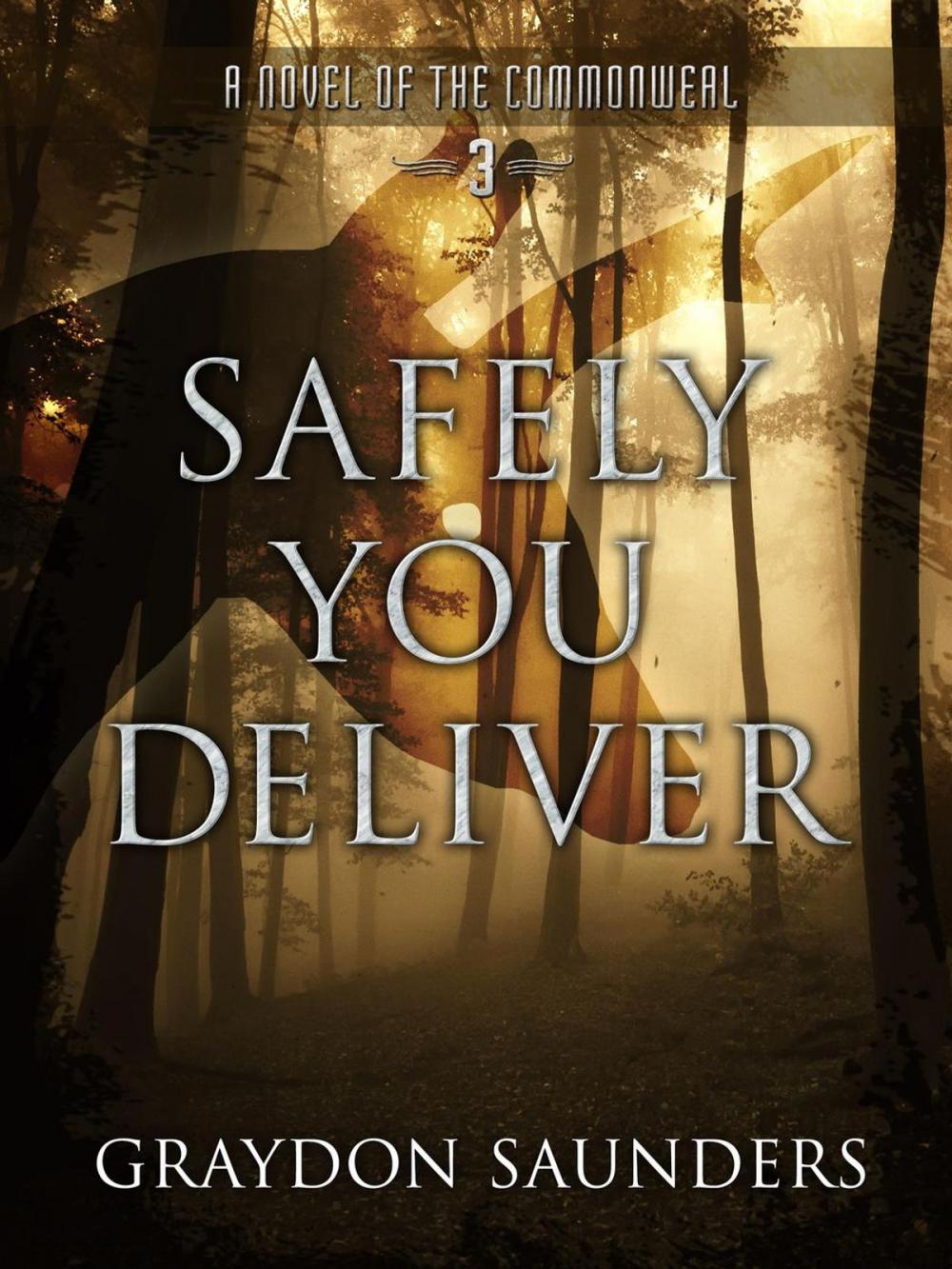 Big bigCover of Safely You Deliver