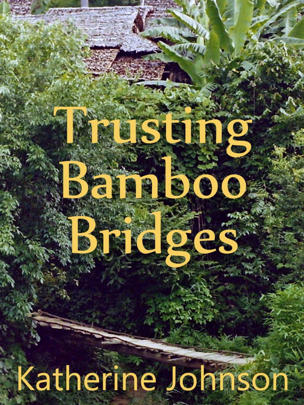 Big bigCover of Trusting Bamboo Bridges