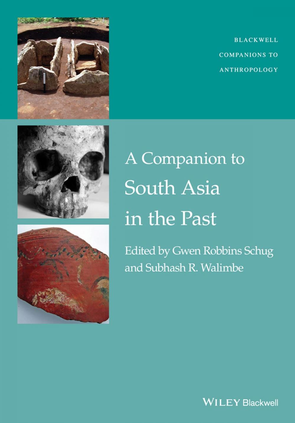 Big bigCover of A Companion to South Asia in the Past