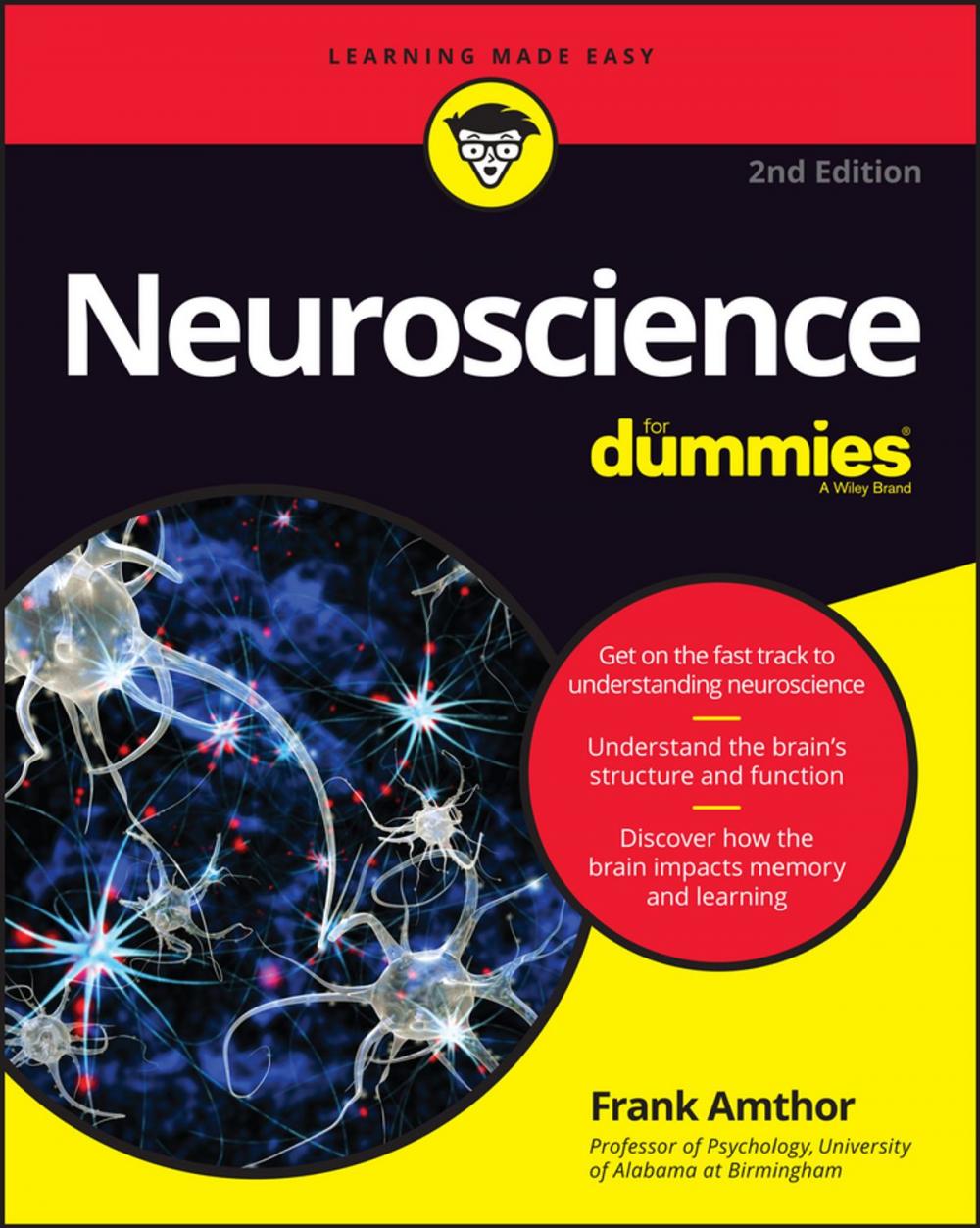 Big bigCover of Neuroscience For Dummies