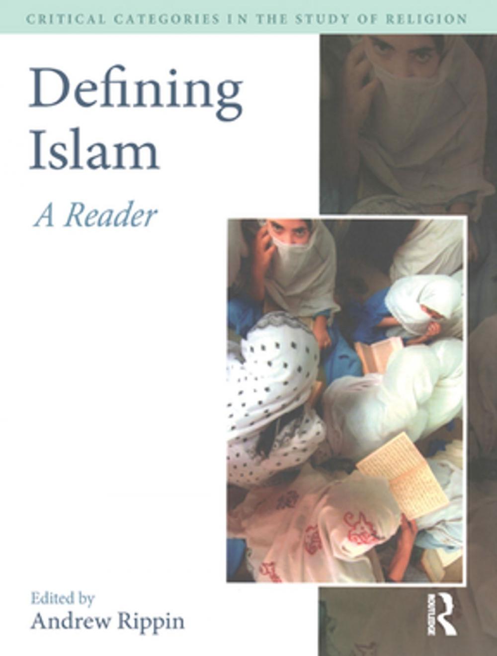 Big bigCover of Defining Islam