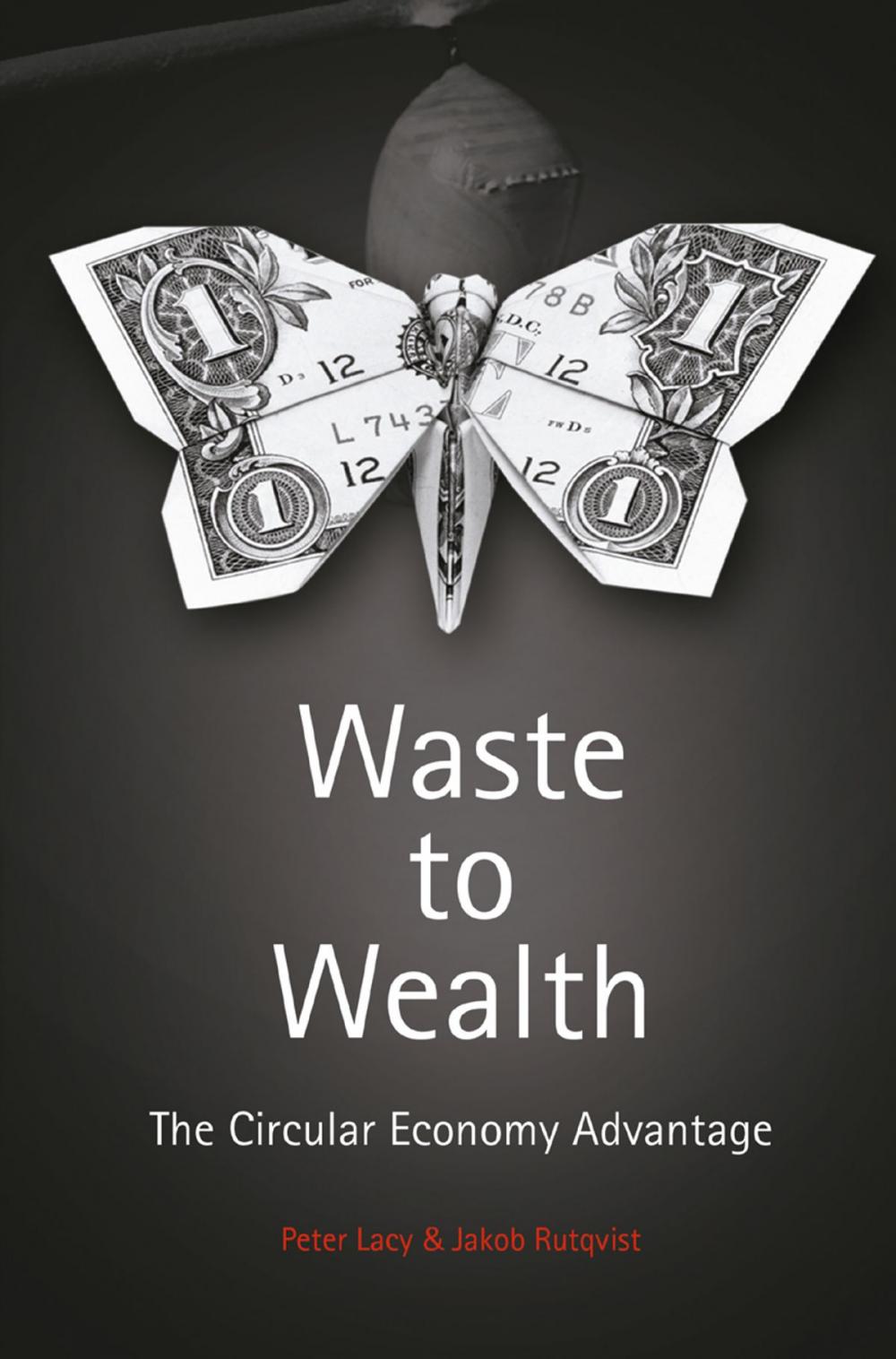 Big bigCover of Waste to Wealth