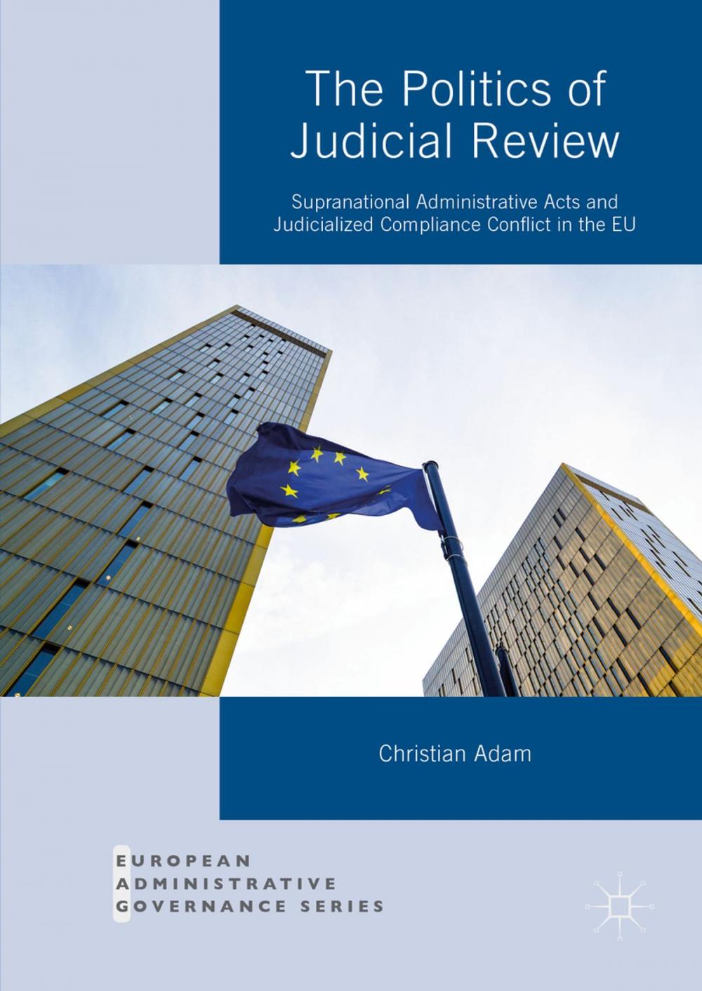 Big bigCover of The Politics of Judicial Review