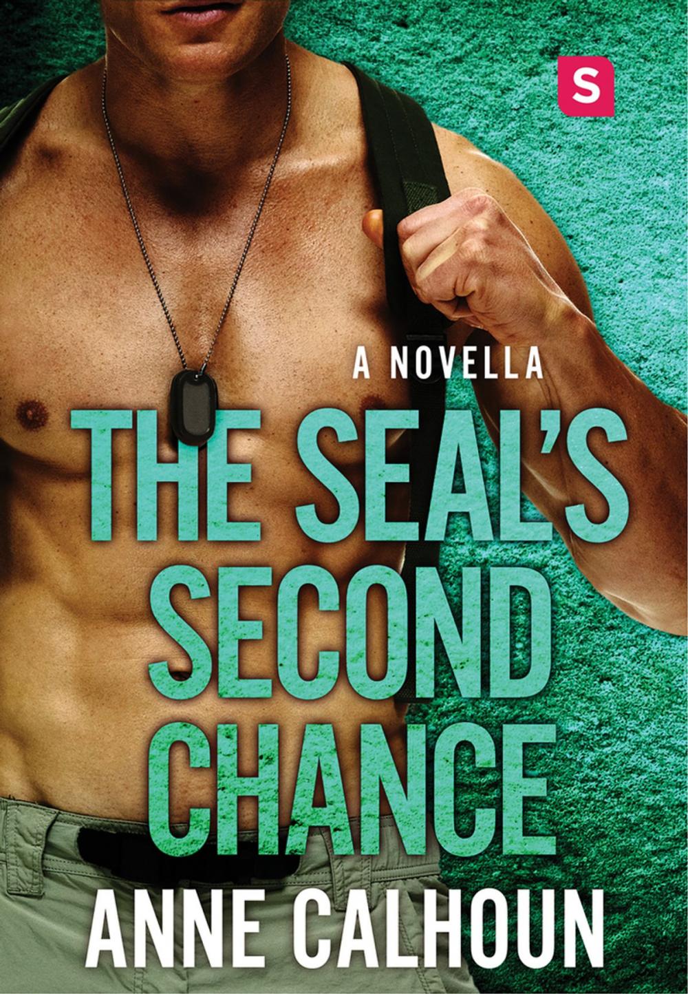 Big bigCover of The SEAL's Second Chance