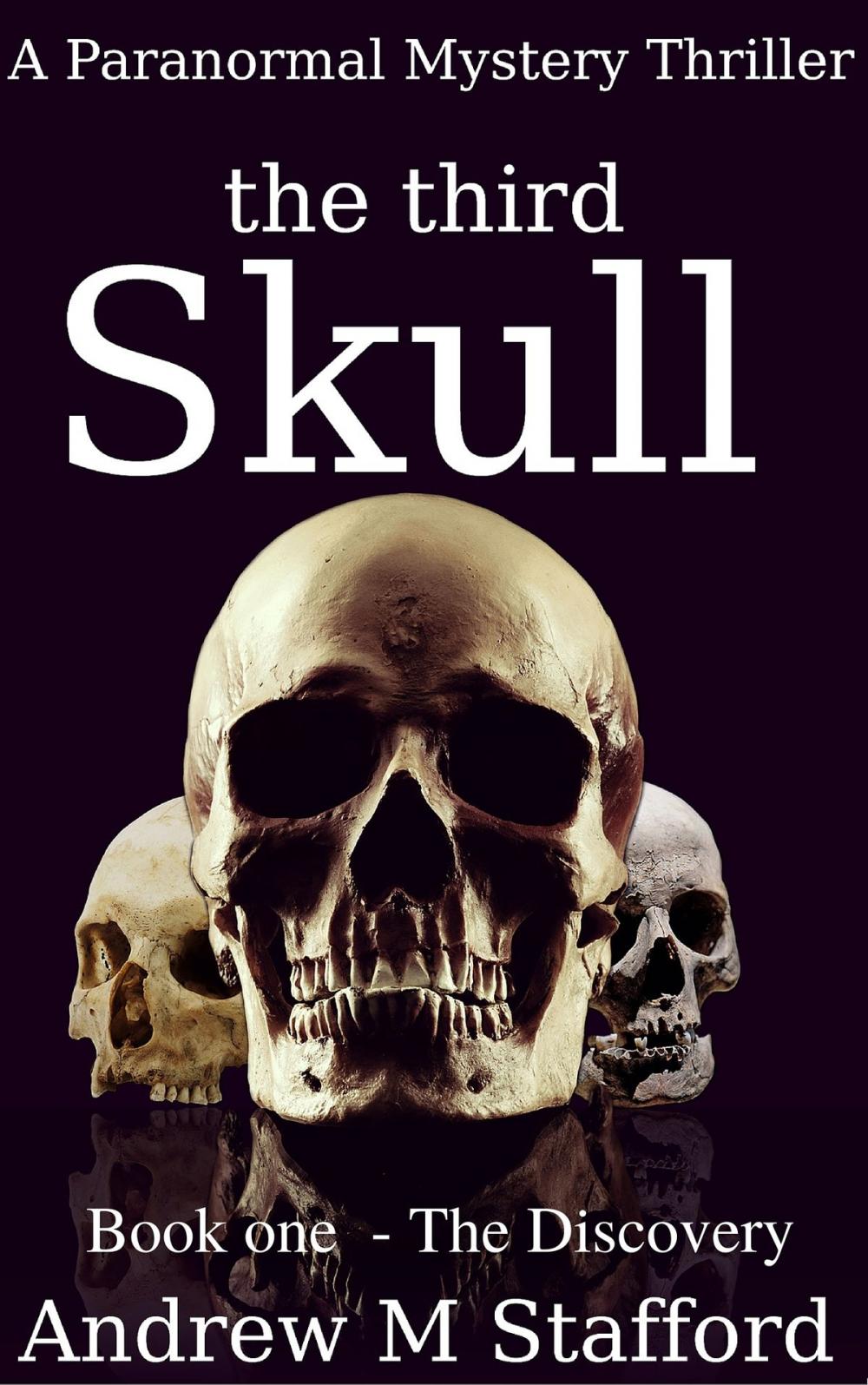 Big bigCover of The Third Skull: Book One - The Discovery