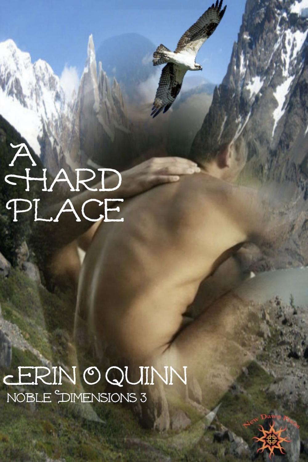 Big bigCover of A Hard Place (Noble Dimensions 3 Novella)