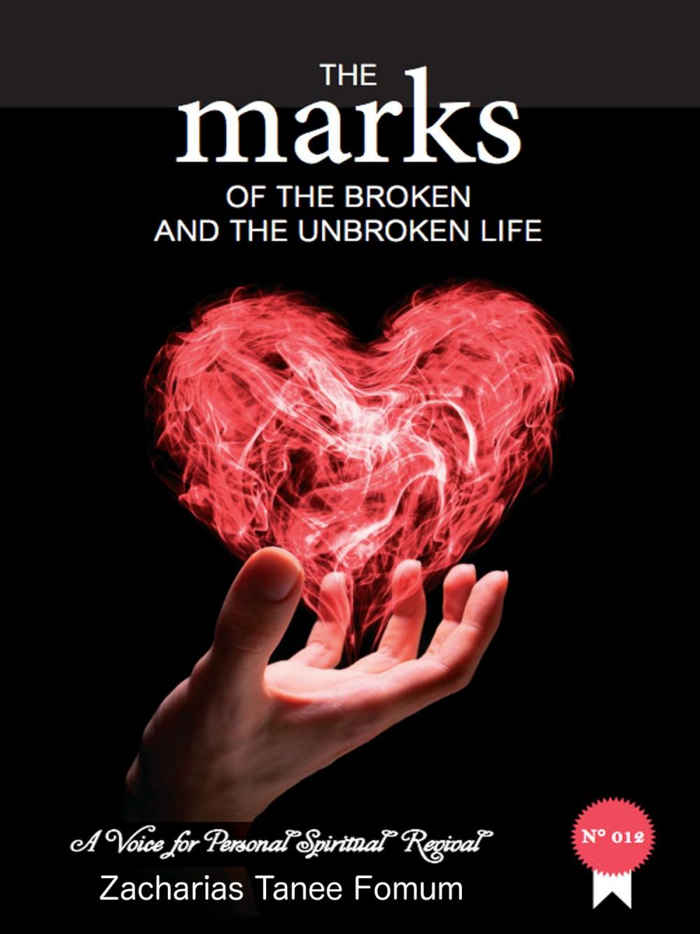 Big bigCover of The Marks of The Broken And The Unbroken Life