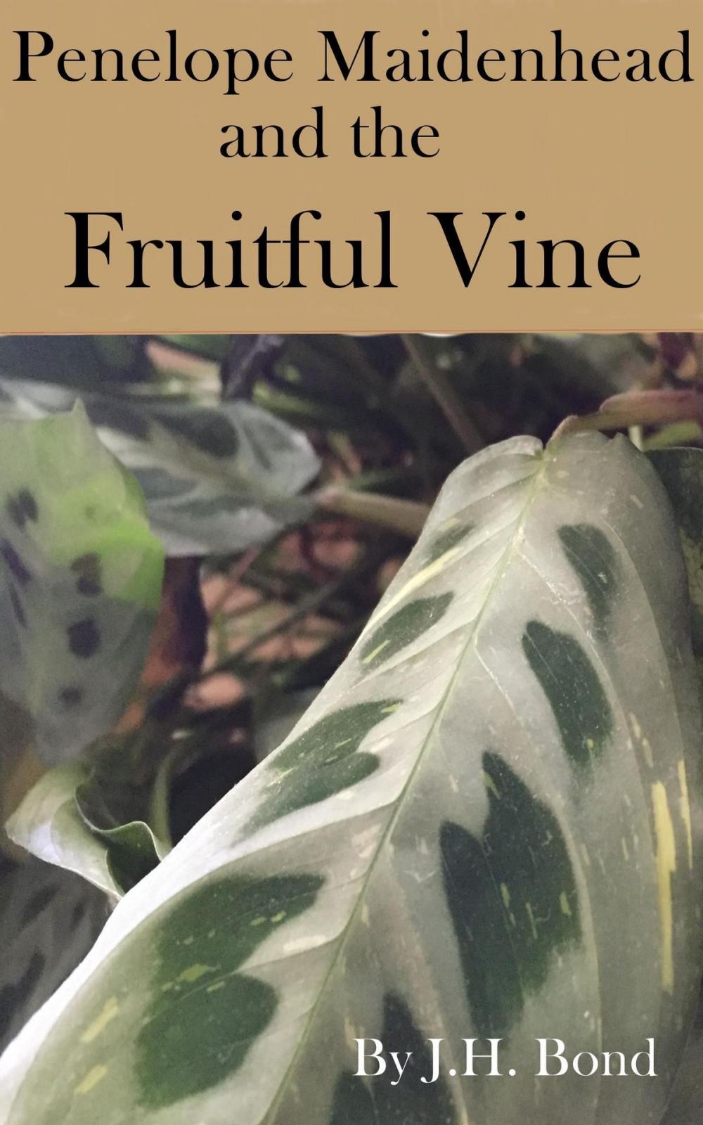 Big bigCover of Penelope Maidenhead and the Fruitful Vine