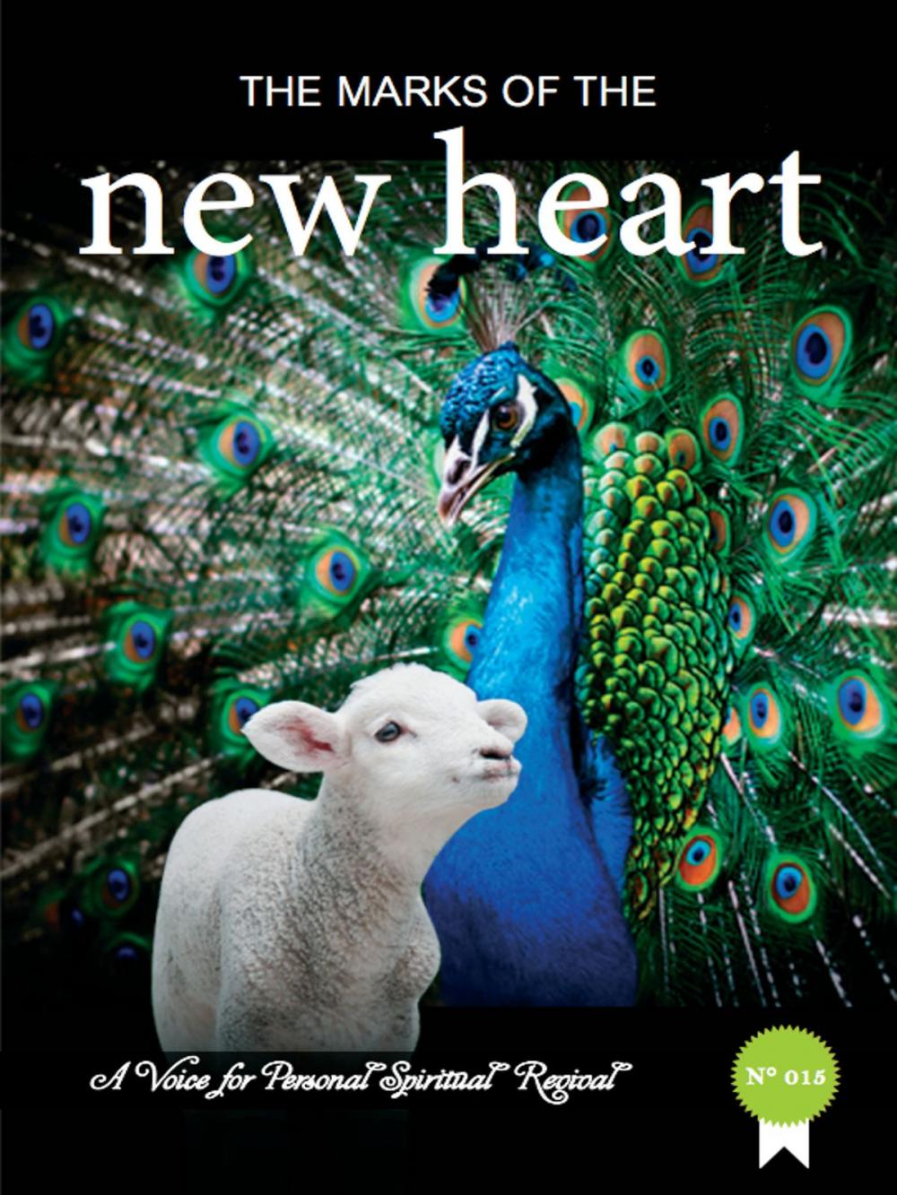 Big bigCover of The Marks of The New Heart