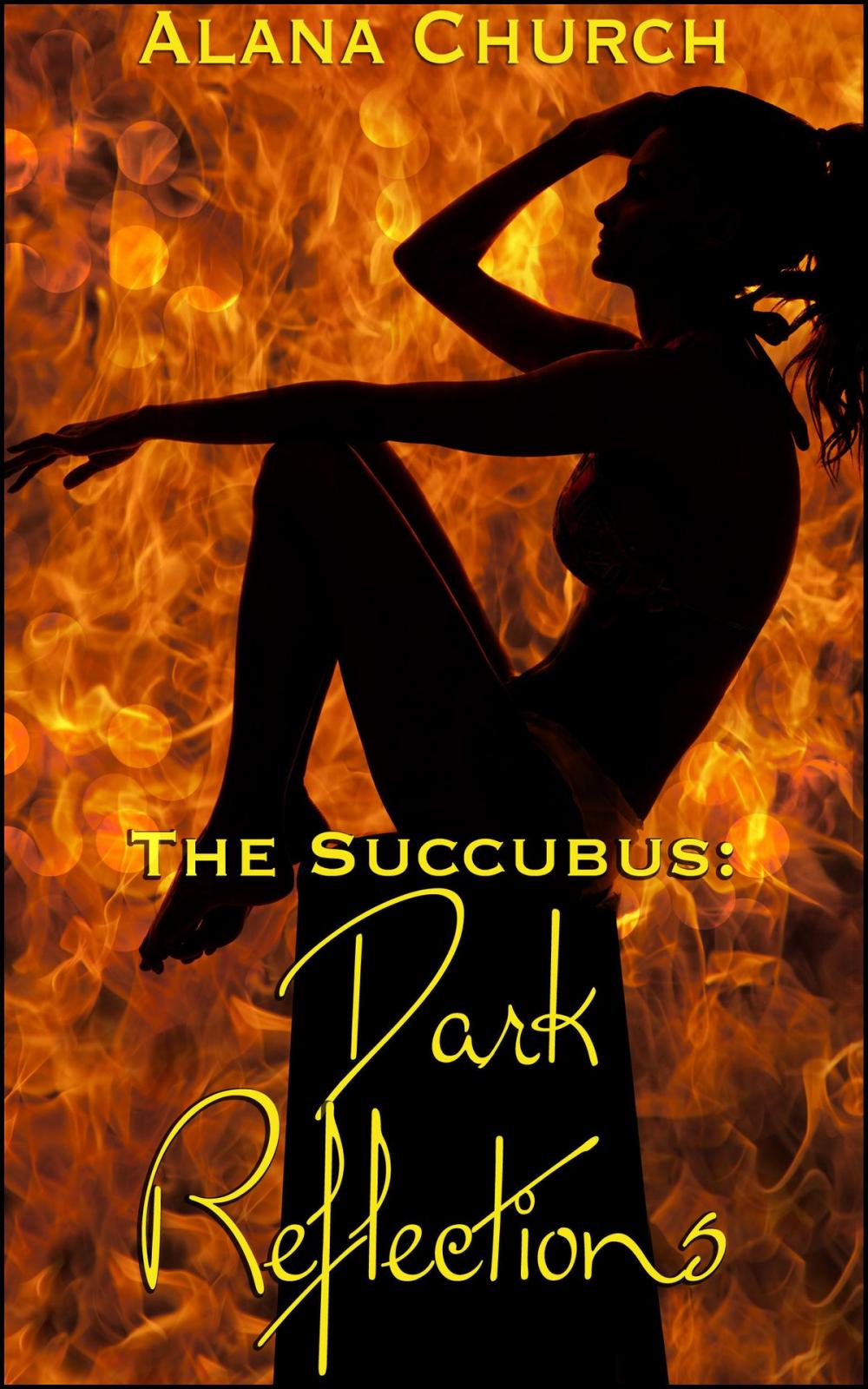 Big bigCover of Dark Reflections (Book 3 of "The Succubus")