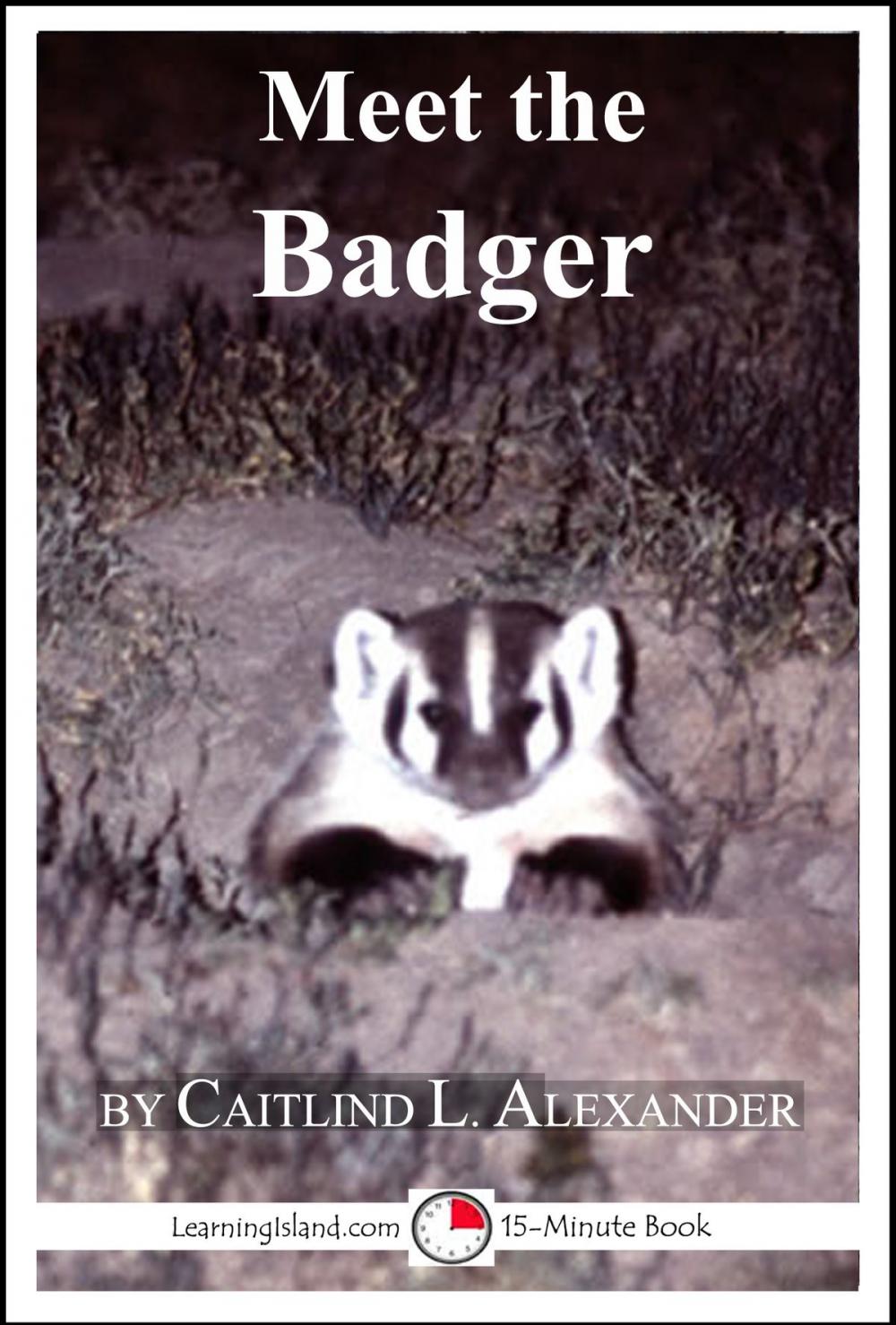 Big bigCover of Meet the Badger: A 15-Minute Book for Early Readers