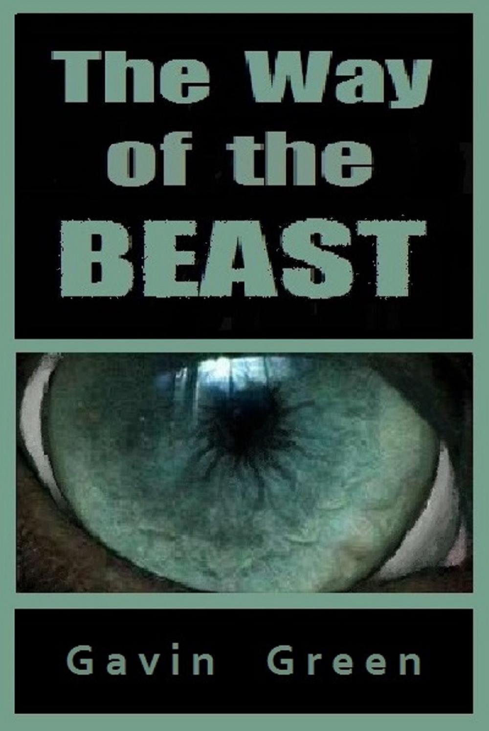 Big bigCover of The Way of the Beast