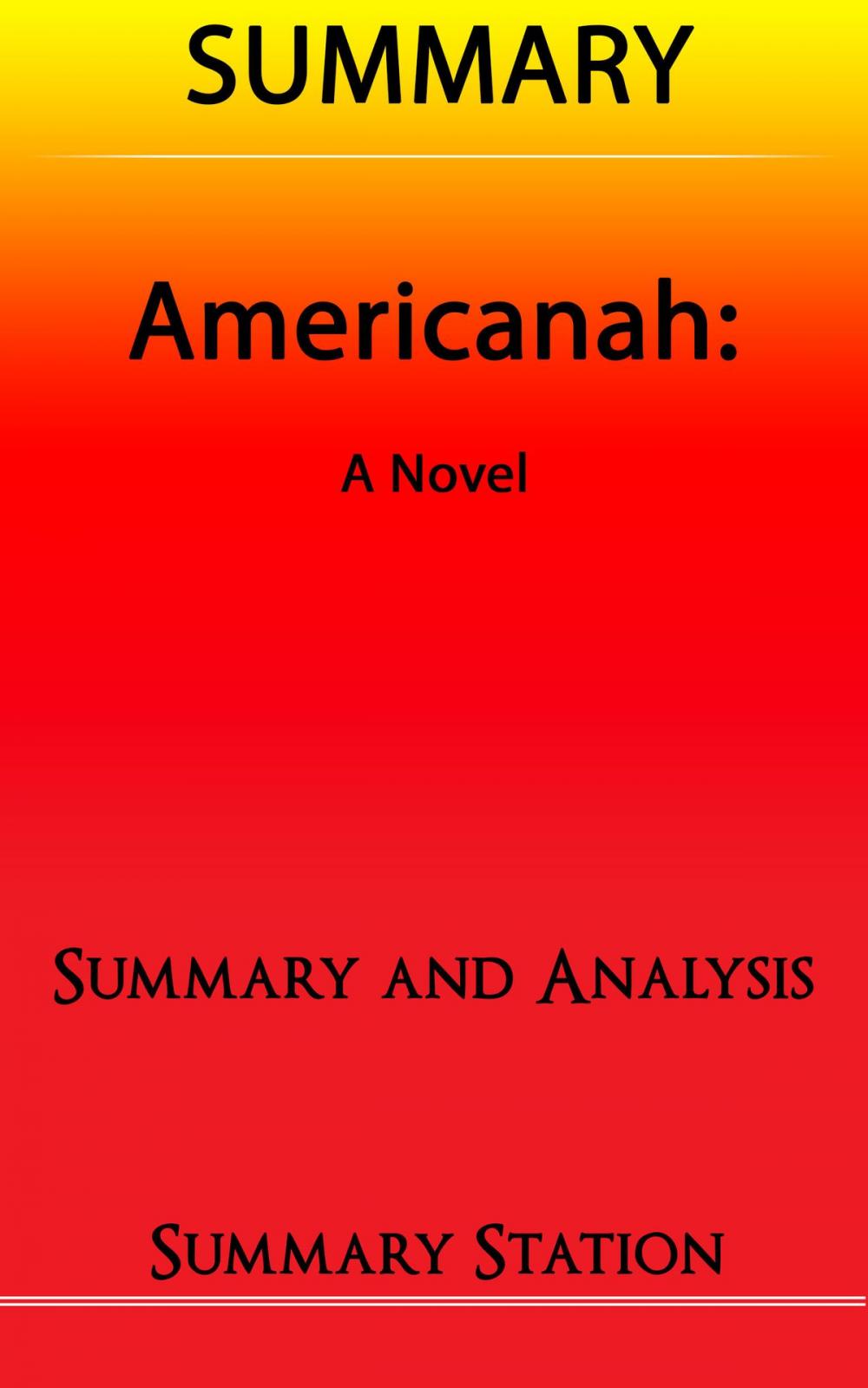 Big bigCover of Americanah | Summary