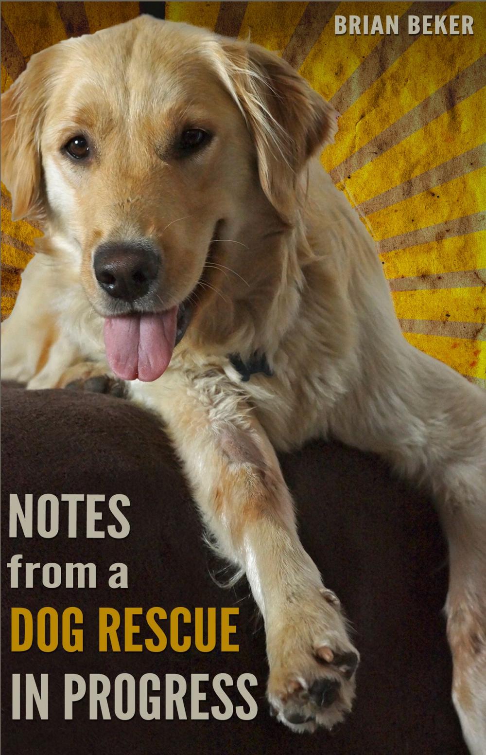 Big bigCover of Notes from a Dog Rescue in Progress