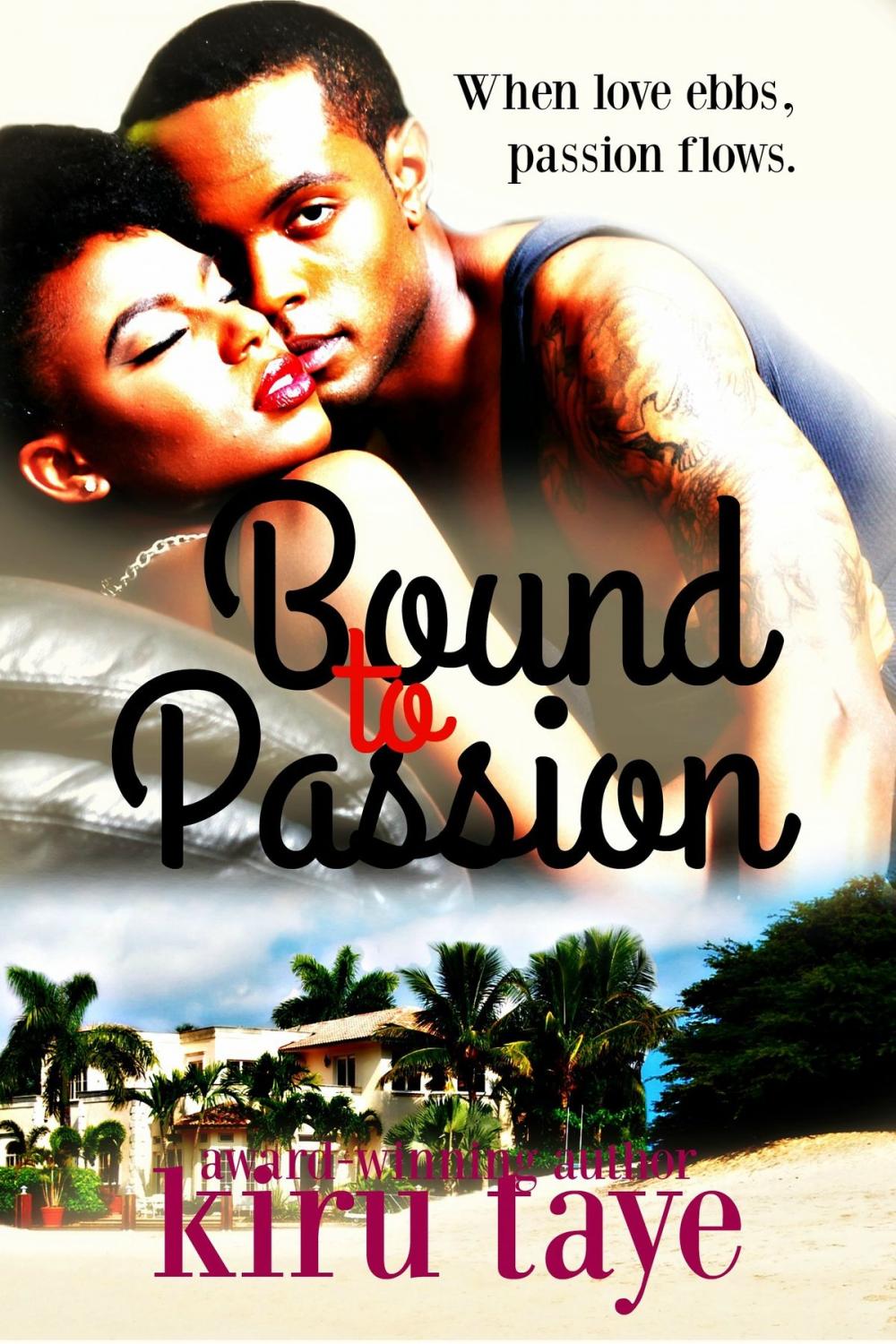 Big bigCover of Bound To Passion (Bound Series #3)