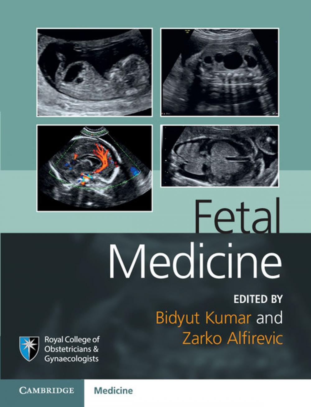 Big bigCover of Fetal Medicine