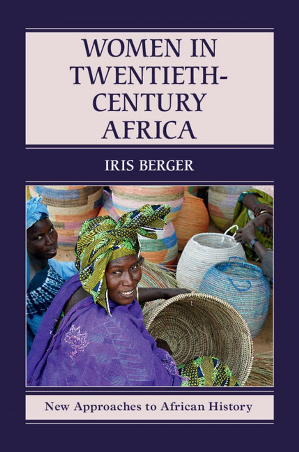 Big bigCover of Women in Twentieth-Century Africa