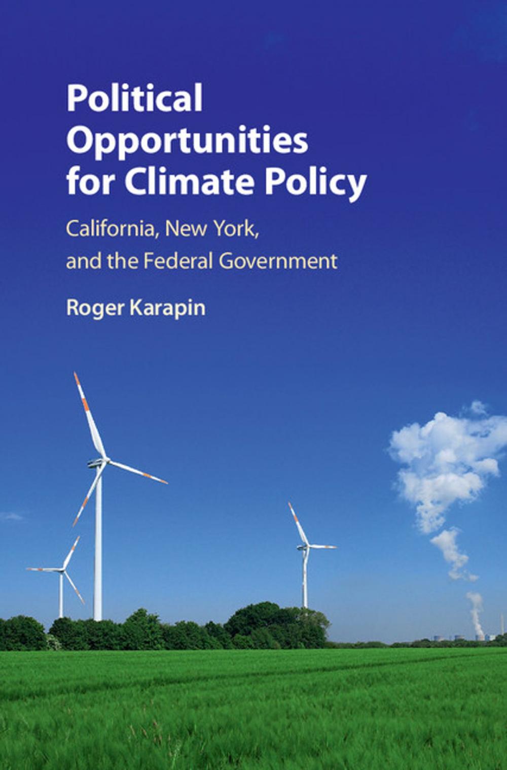 Big bigCover of Political Opportunities for Climate Policy