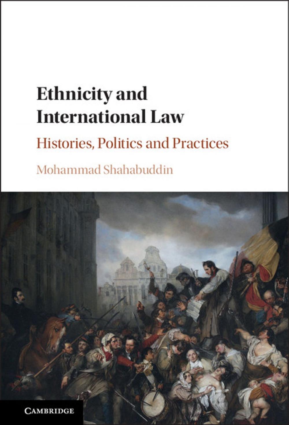 Big bigCover of Ethnicity and International Law