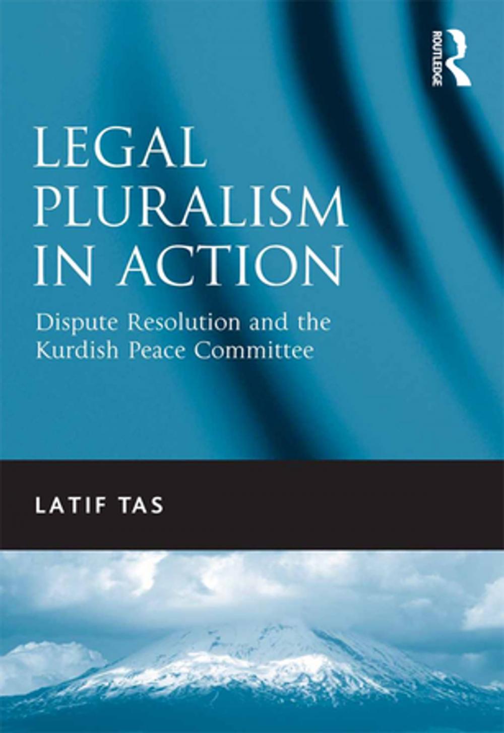 Big bigCover of Legal Pluralism in Action