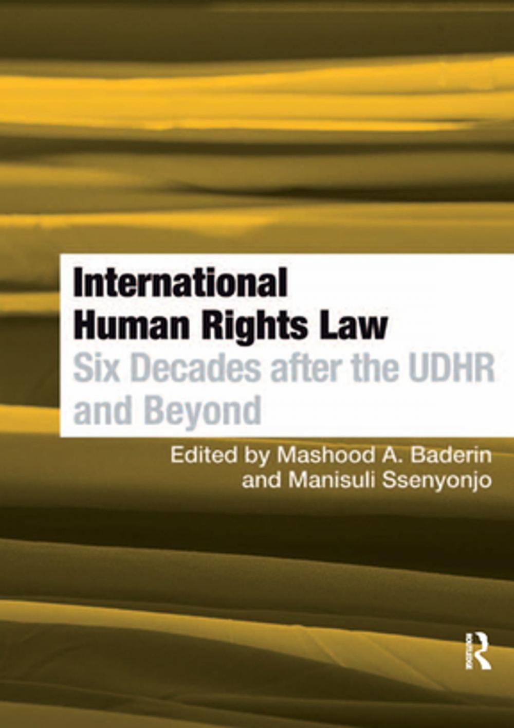 Big bigCover of International Human Rights Law