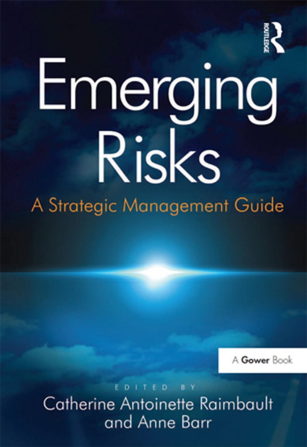 Big bigCover of Emerging Risks