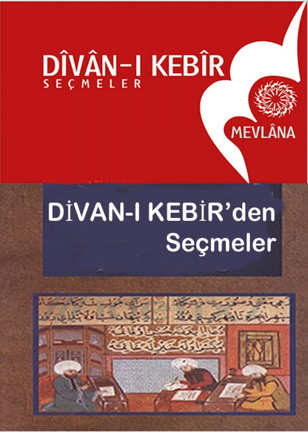 Big bigCover of Divan-ı Kebir'den Seçmeler1