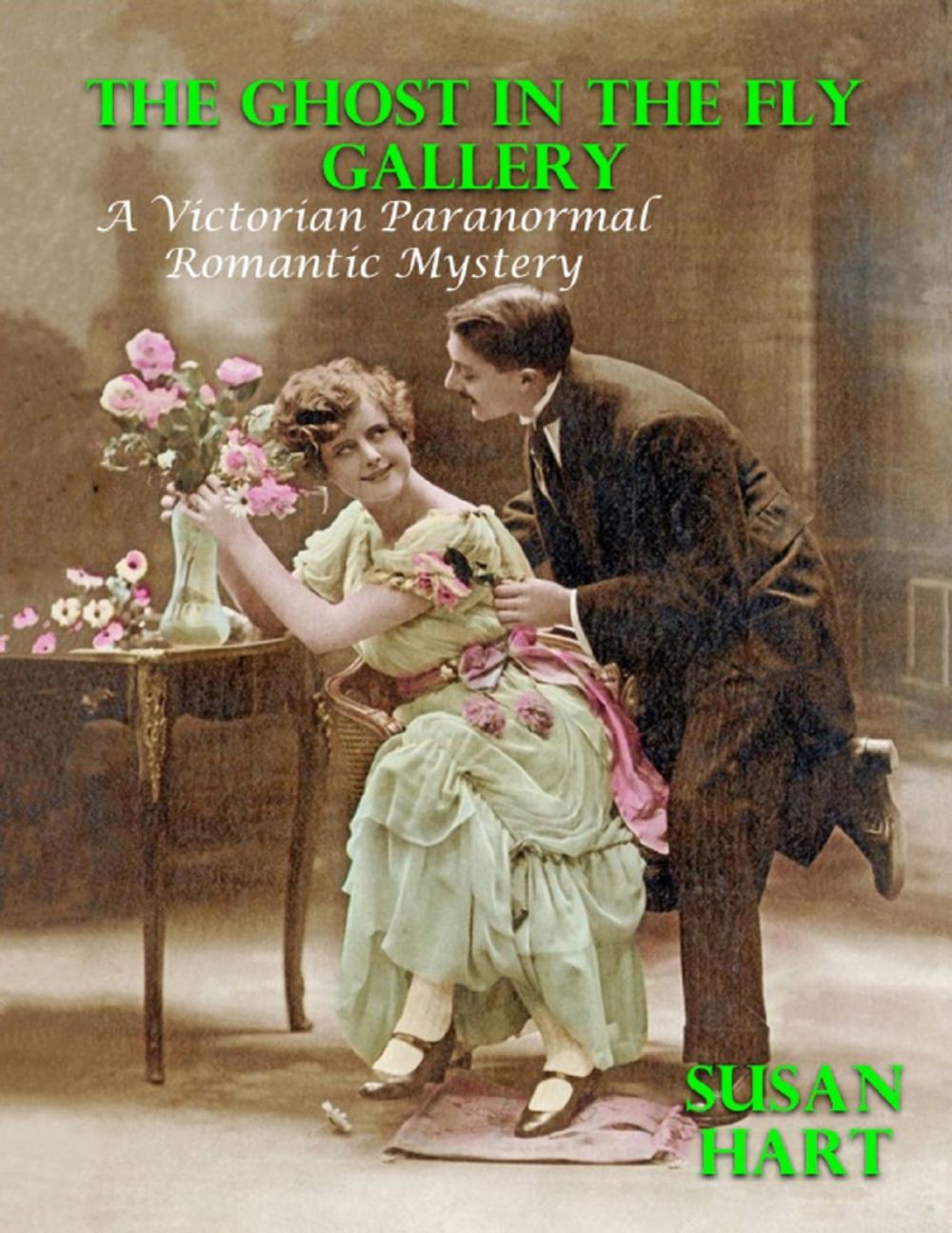 Big bigCover of The Ghost In the Fly Gallery: A Victorian Paranormal Romantic Mystery