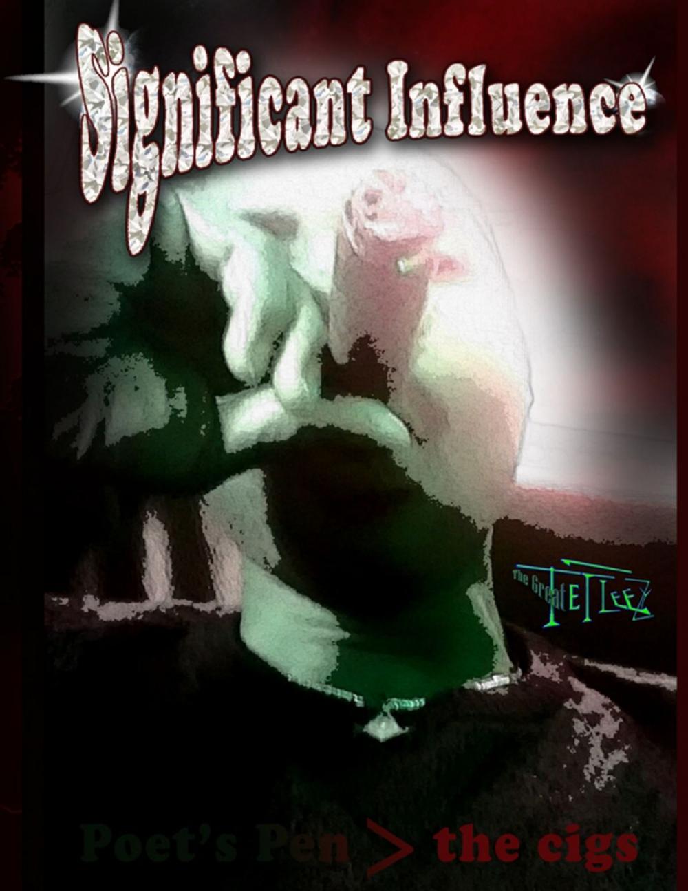 Big bigCover of Significant Influence