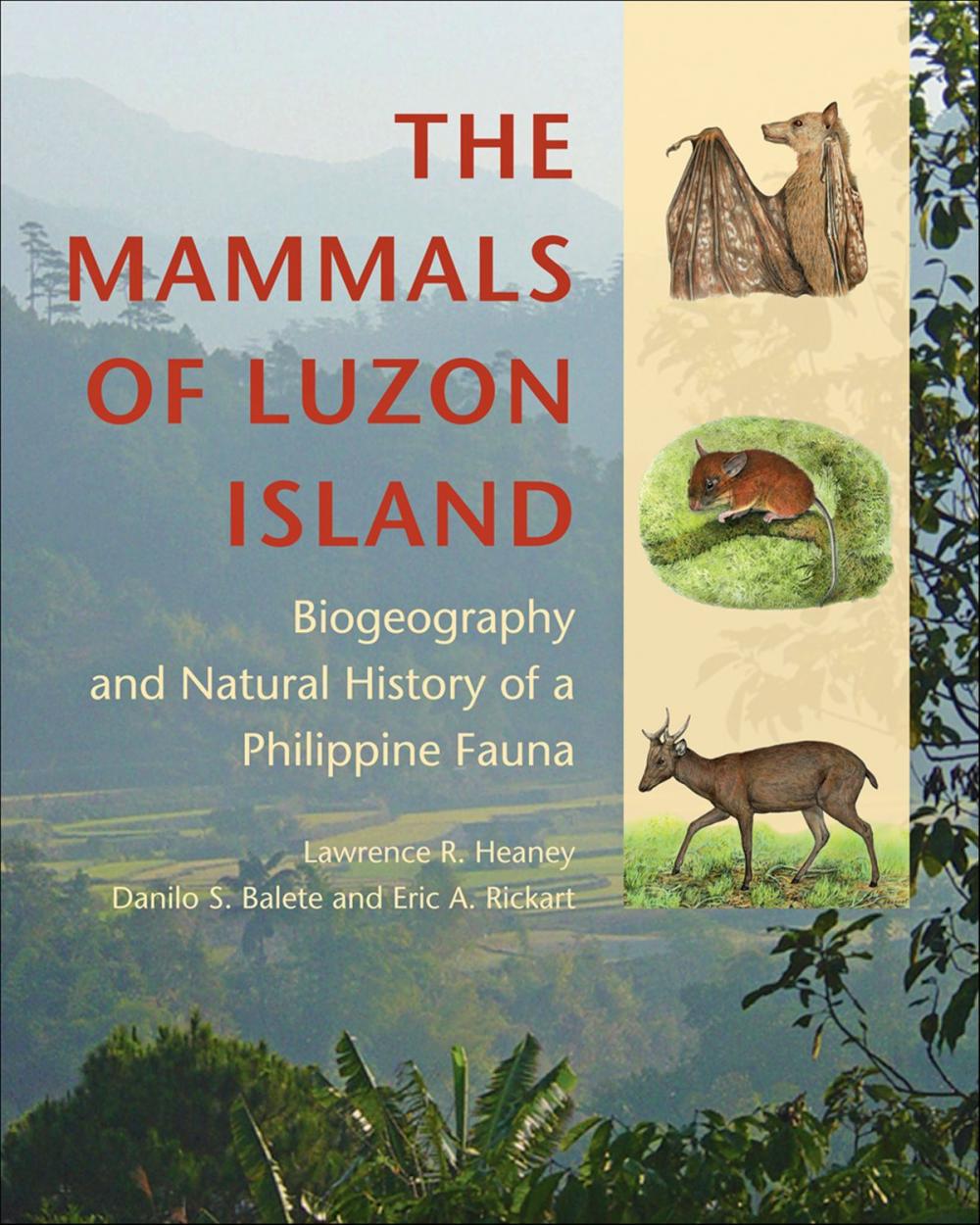 Big bigCover of The Mammals of Luzon Island