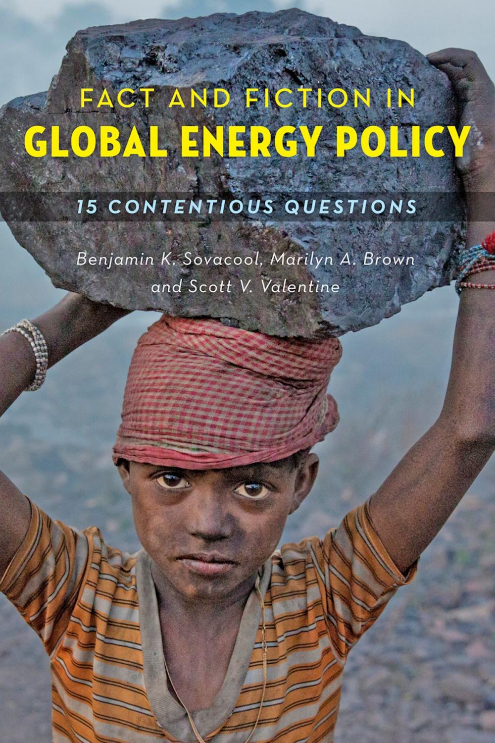 Big bigCover of Fact and Fiction in Global Energy Policy