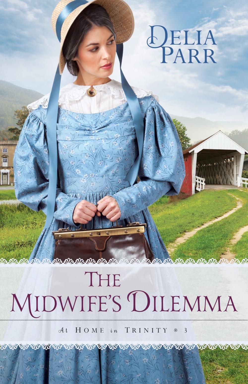 Big bigCover of The Midwife's Dilemma (At Home in Trinity Book #3)