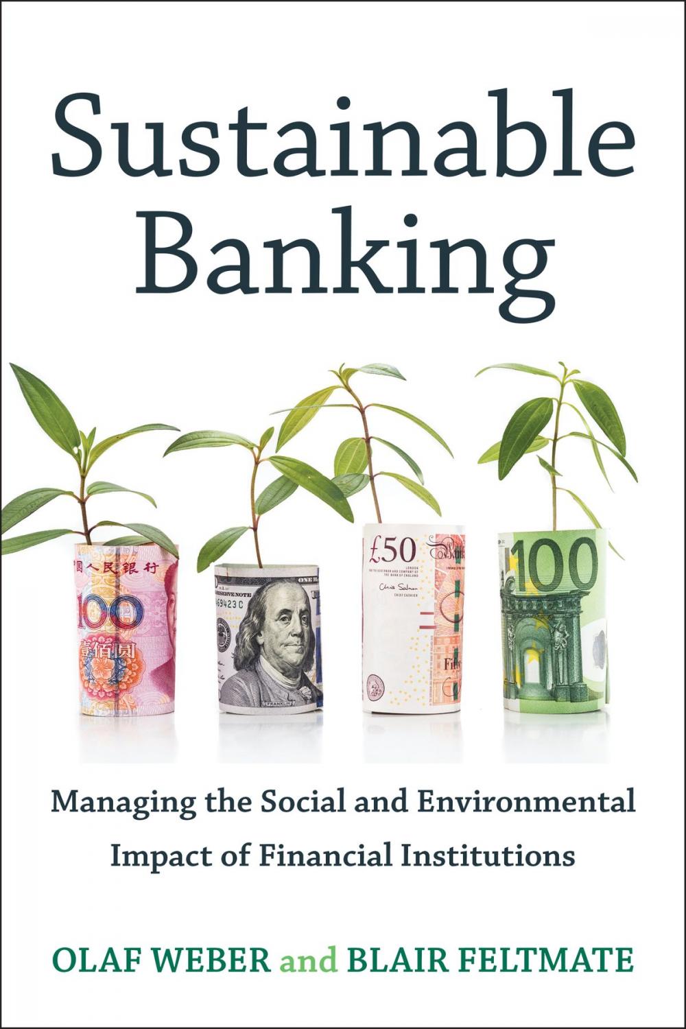 Big bigCover of Sustainable Banking