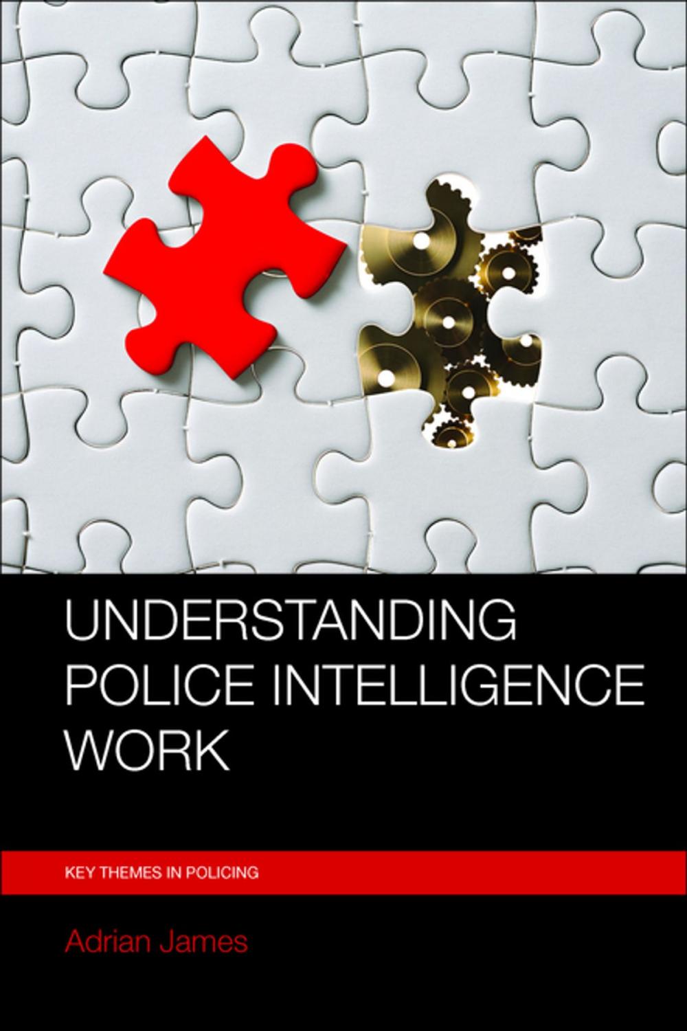 Big bigCover of Understanding police intelligence work