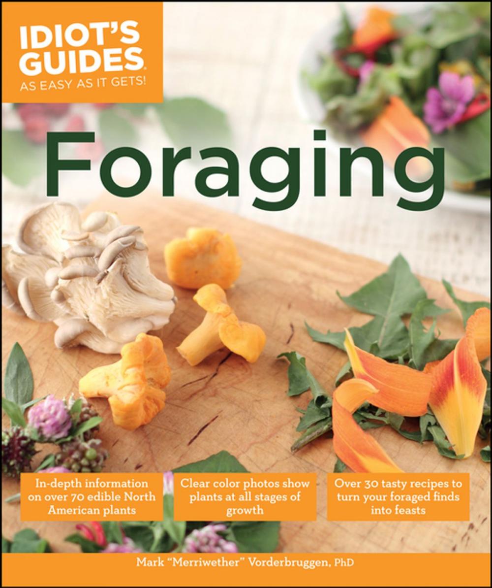 Big bigCover of Foraging