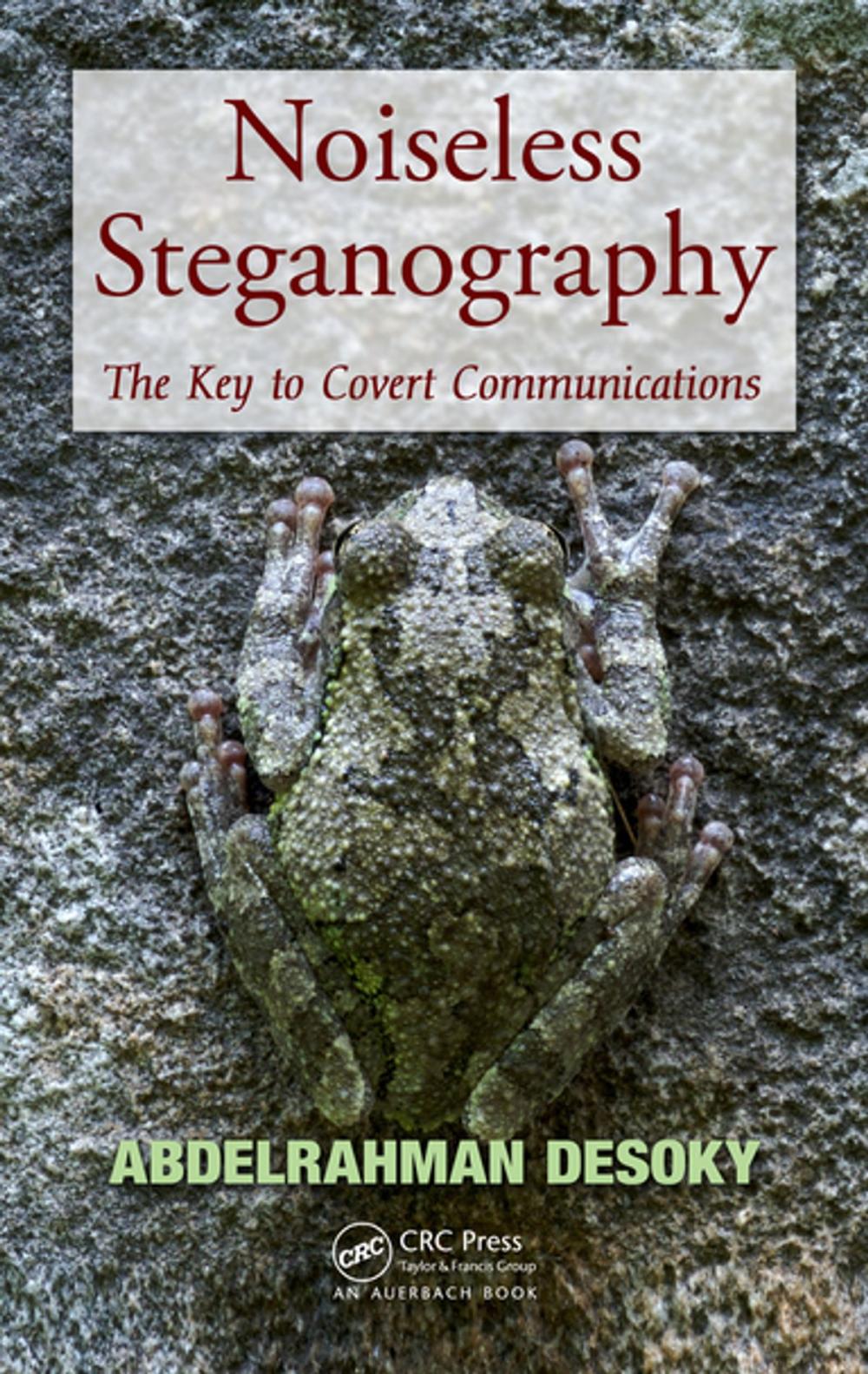 Big bigCover of Noiseless Steganography