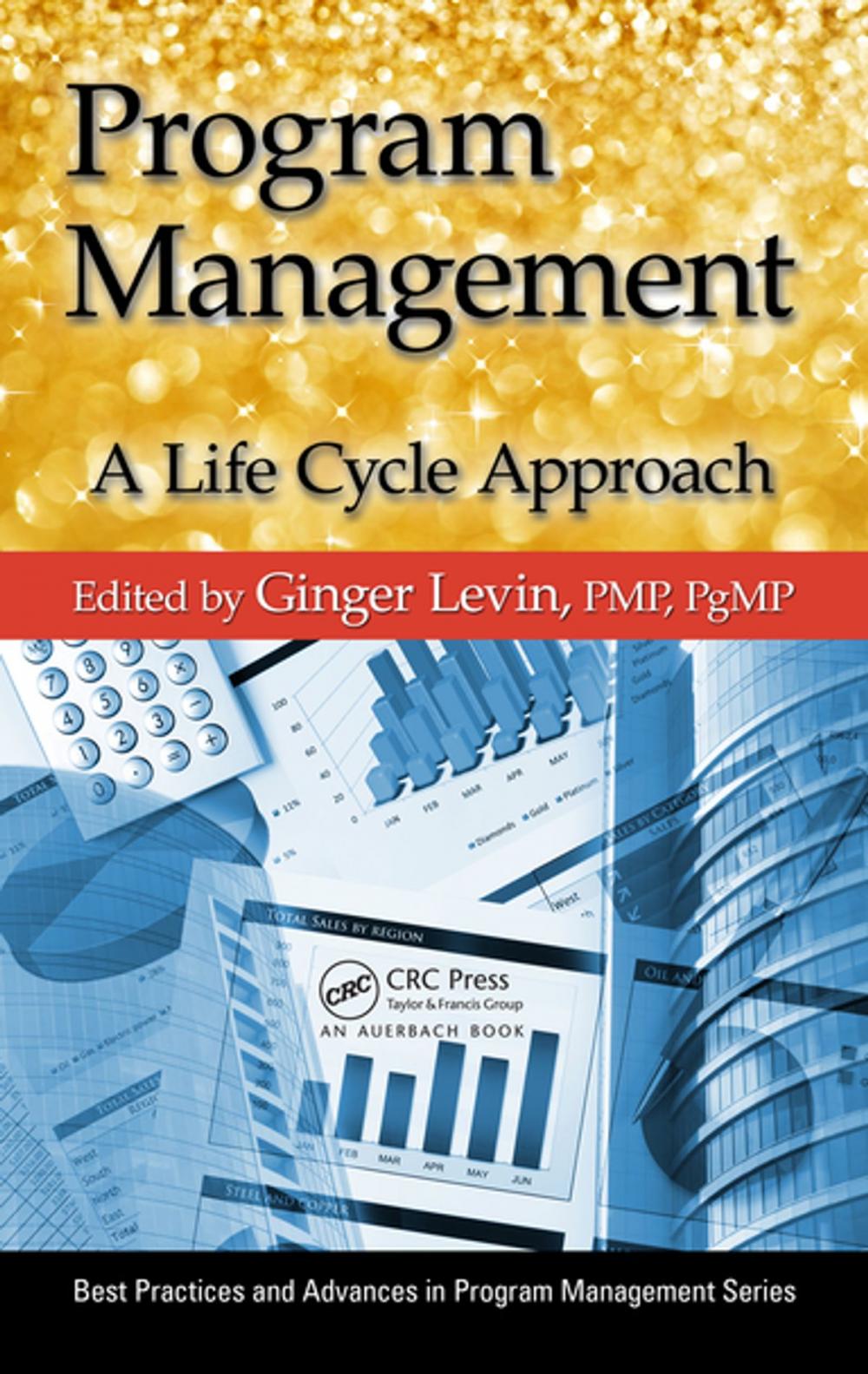 Big bigCover of Program Management