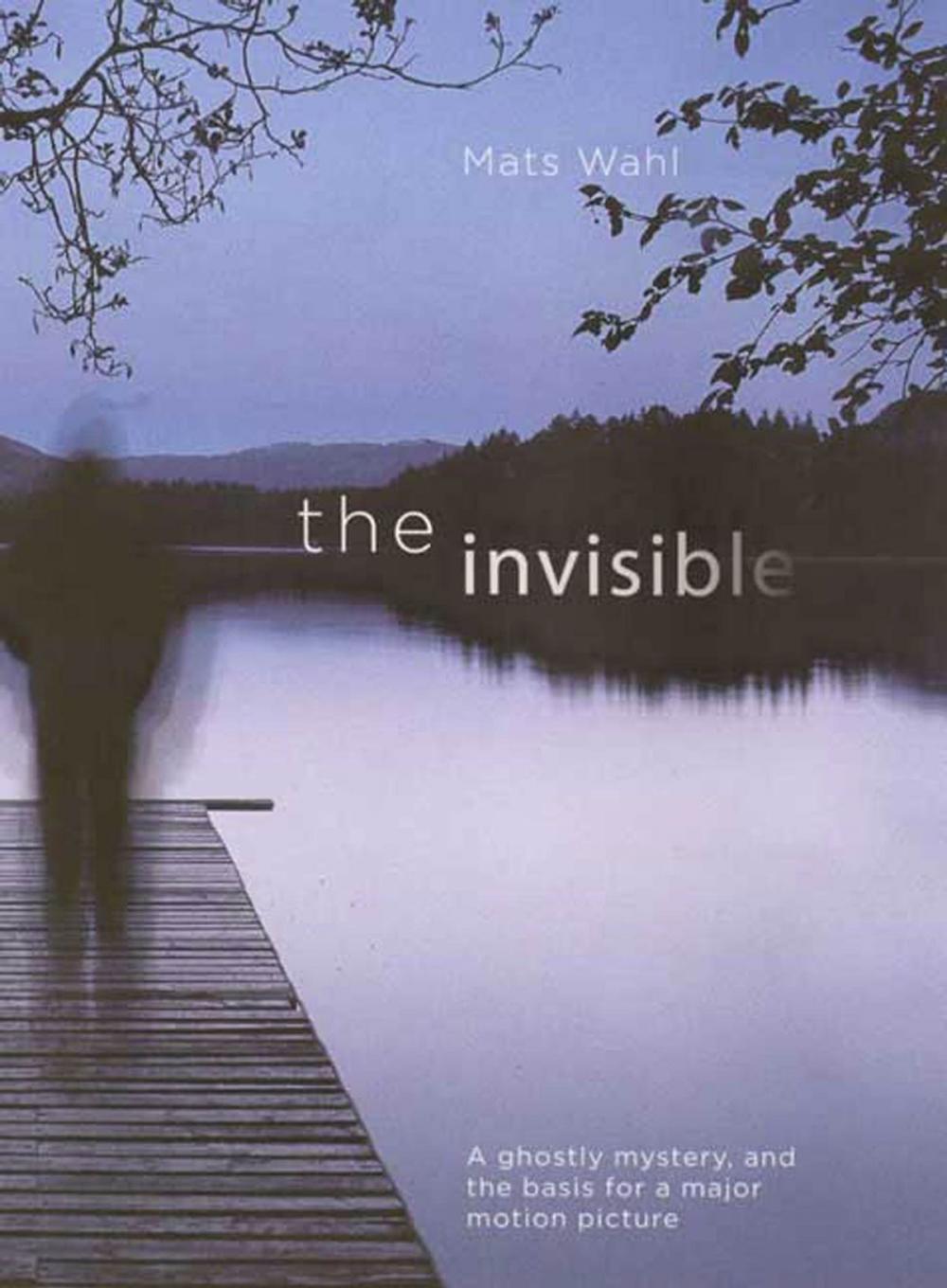 Big bigCover of The Invisible