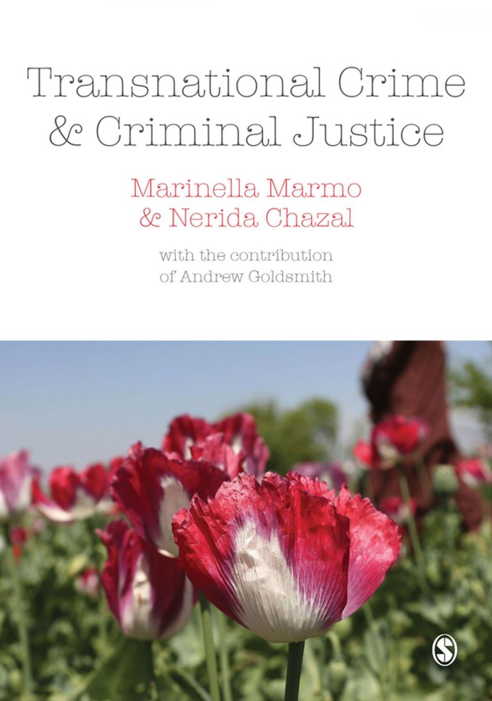 Big bigCover of Transnational Crime and Criminal Justice