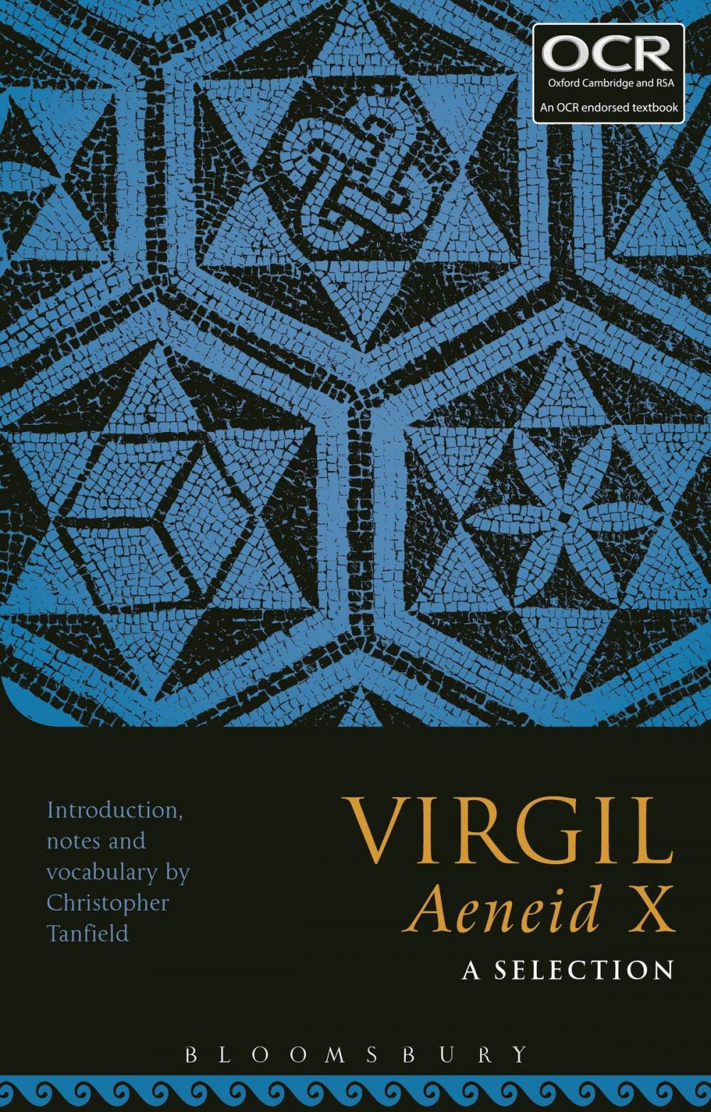 Big bigCover of Virgil Aeneid X: A Selection