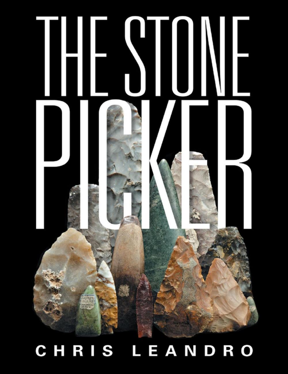 Big bigCover of The Stone Picker