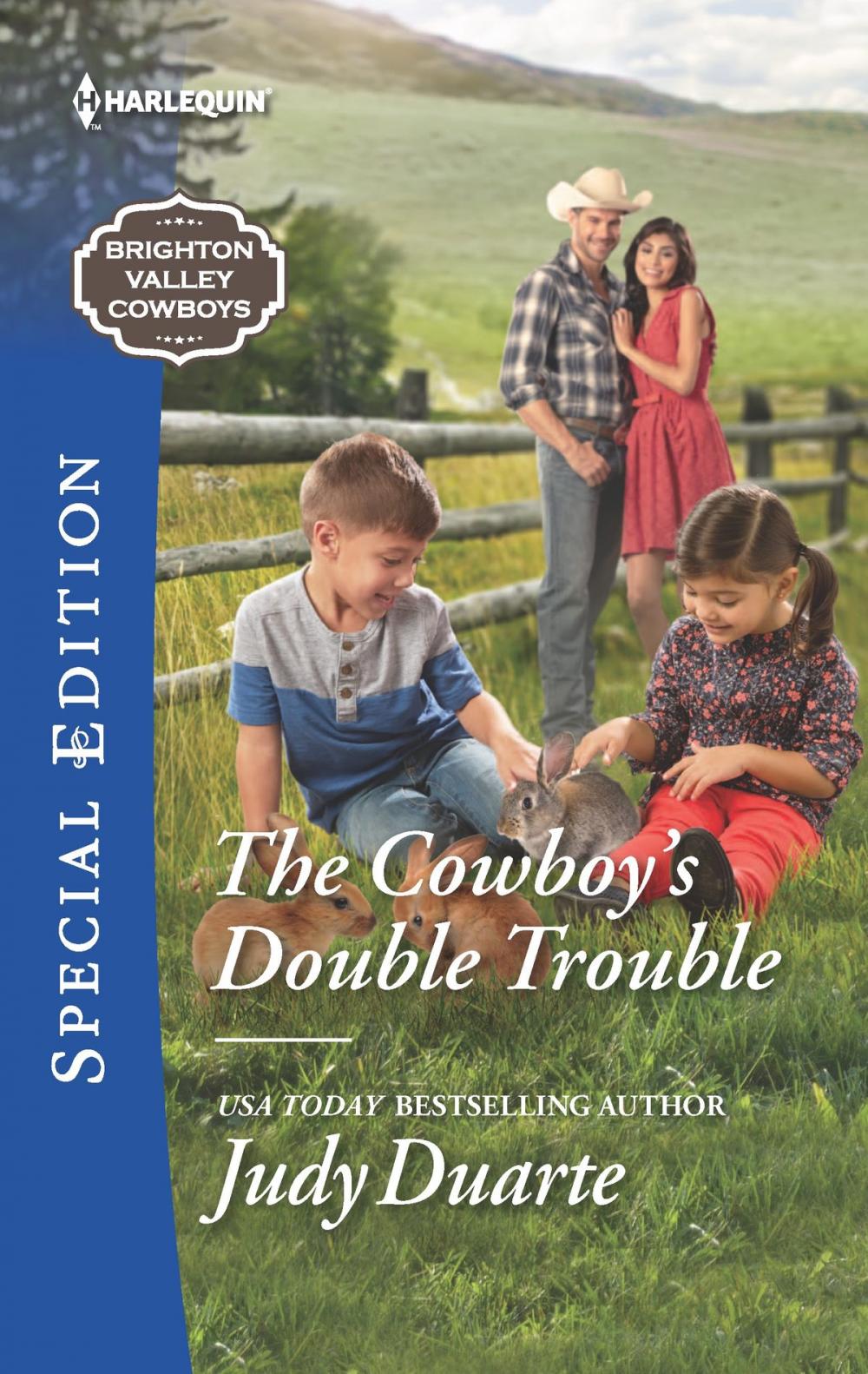 Big bigCover of The Cowboy's Double Trouble