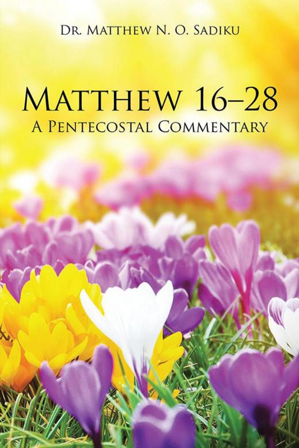 Big bigCover of Matthew 16–28