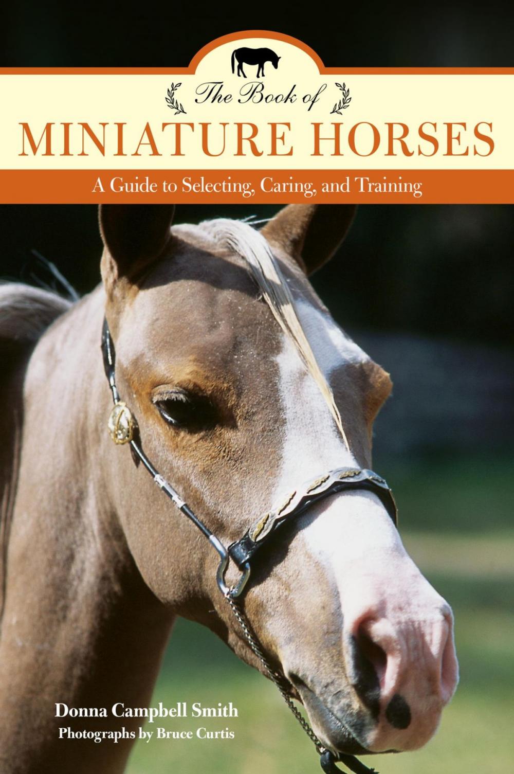 Big bigCover of Book of Miniature Horses