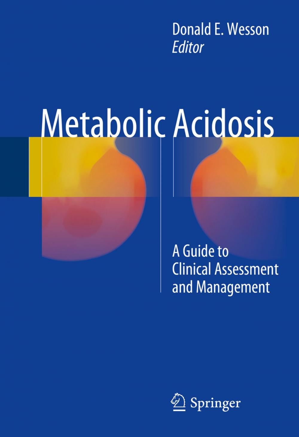 Big bigCover of Metabolic Acidosis