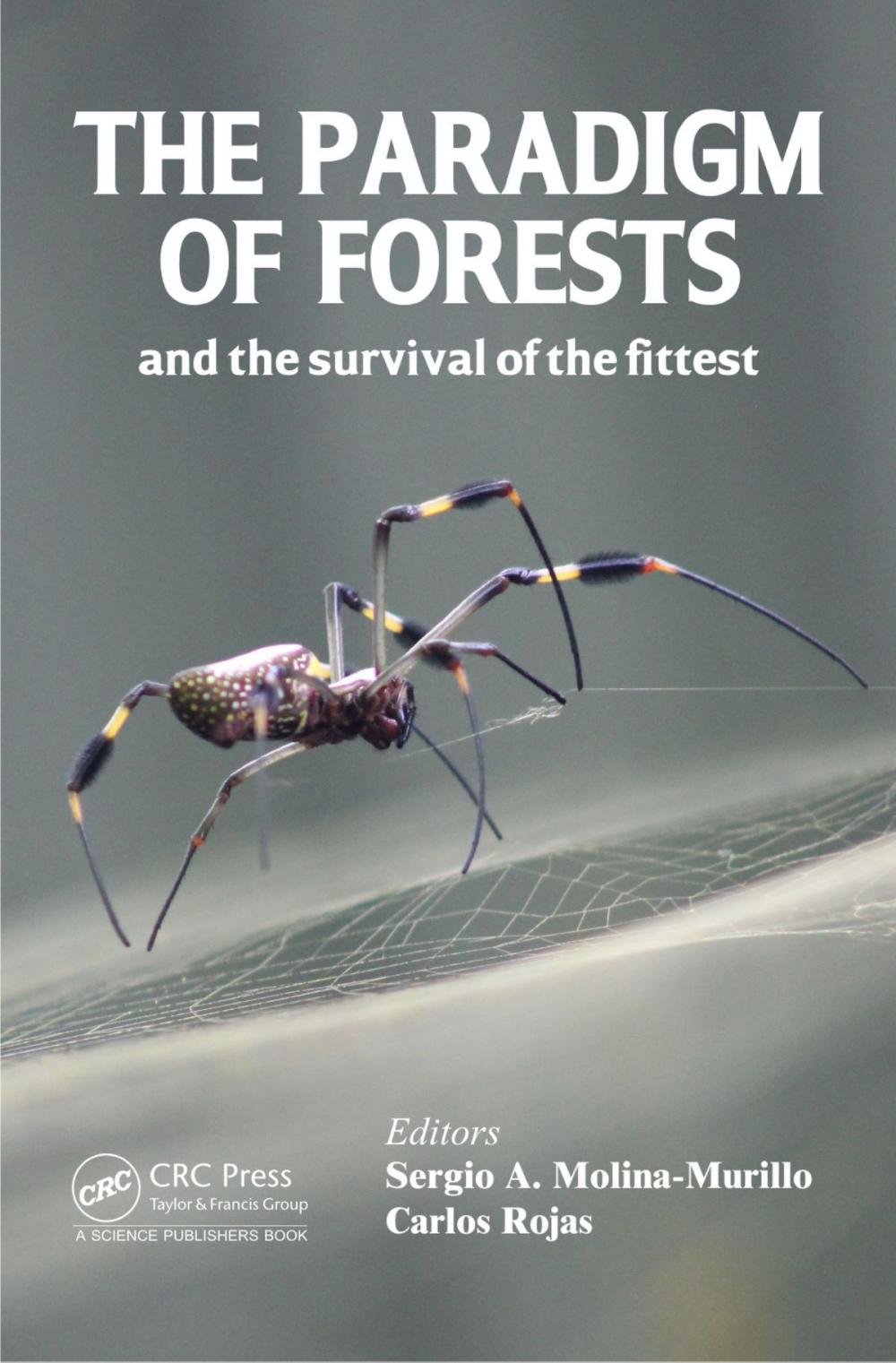 Big bigCover of The Paradigm of Forests and the Survival of the Fittest